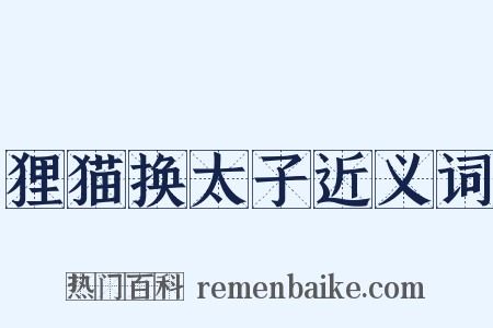 狸猫换太子近义词是什么意思的图片
